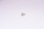 Butterfly Silver Studs
